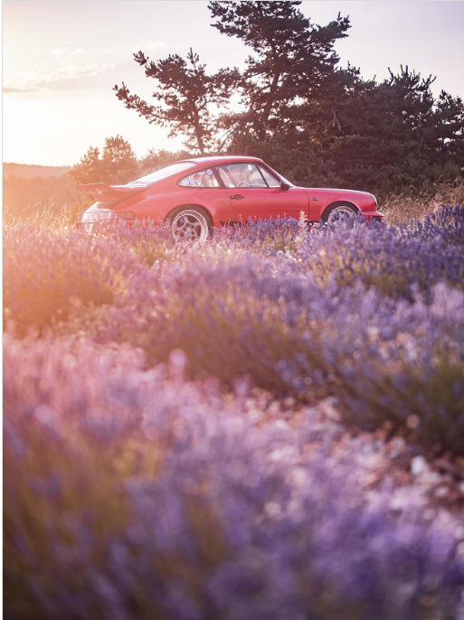 Vivez un road trip rare le 20 juin 2025 dans la Matheysine, la Drôme et la Foret de Saoù